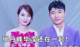 张丹峰事件最新爆料,最新爆料揭露惊人内幕